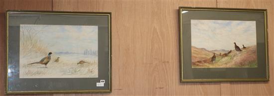 Richard Harrison, pair of watercolours, Grouse and pheasant in landscapes, signed, 36 x 53cm